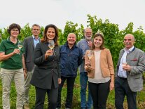 Staatsministerin Kaniber und mehrere Persönlickeiten des fränkischen Weinbaus im Weinberg