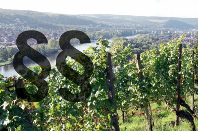 Zwei Paragraphen-Zeichen liegen über einer Weinbaulanschaft mit Main
