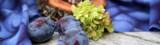 Schwarzblaue Früchte der Zwetschge mit Hortensienblüte und Stoff mit Zwetschgendruck auf verwittertem Holz