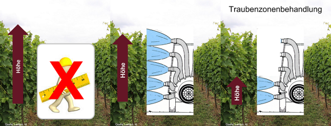 Rebzeilen mit Pfeilen zur Demonstration der Behandlungshöhe und Schema eines PS-Gerätes