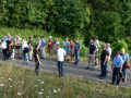 Besucher beim Rungang im Weinberg