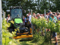 Ein Schlepper fährt mit einem Mulchgerät im Frontanbau durch den Weinberg.