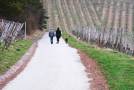 Spaziergänger mit Hund auf dem Weinbergsweg