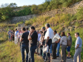 Die Besucher beim Betrachten der Blühstreifen mit alter Bruchsteinmauer im Hintergrund