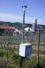 Wetterstation des Agrarmeteorologischen Messnetz Bayern in einer Rebanlage