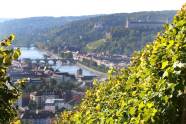 Blick vorbei an Reben hinab ins Maintal mit Blick auf ein Stück Würzburg und Alte Mainbrücke sowie Festung Marienberg