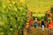 Zwei Frauen wandern durch einen herbstlich gefärbten Weinberg