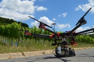 Drohne steht auf dem Weinbergsweg, im Hintergrund Reben