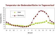 Temperaturverlauf über dem Weinbergsboden ab 8 Uhr stark ansteigend von unter 10°C auf über 40 °C. Der Waldboden steigt nur auf Werte um 15 bis 20 °C