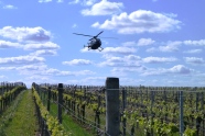Hubschrauber im Einsatz über Rebflächen in Sommerach