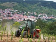 Traktor im Weinberg