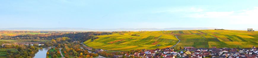 Header Weinbau Main und Weinort