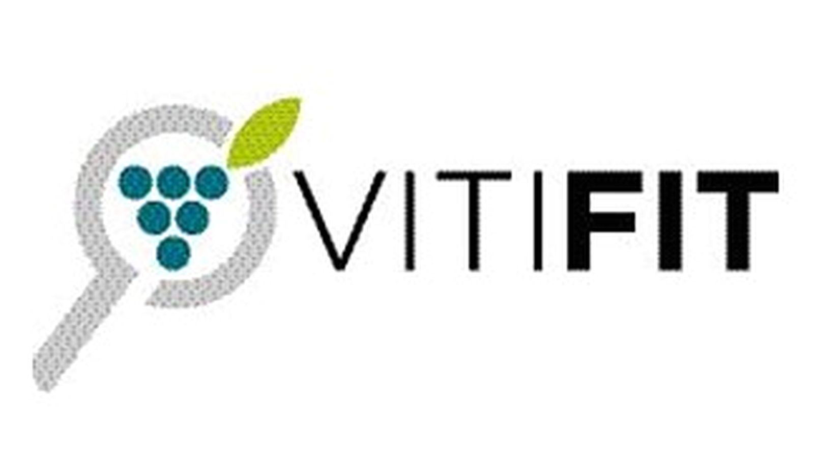 VitiFit-Logo